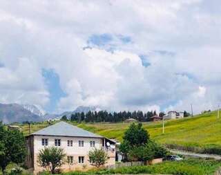 Фото Гостевой дом Guesthouse LALI GULEDANI г. Tsvirmi